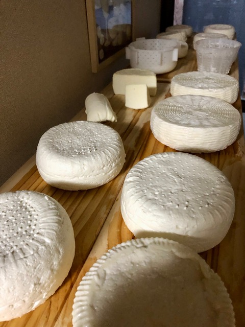 Kumano cheese ロビオラ