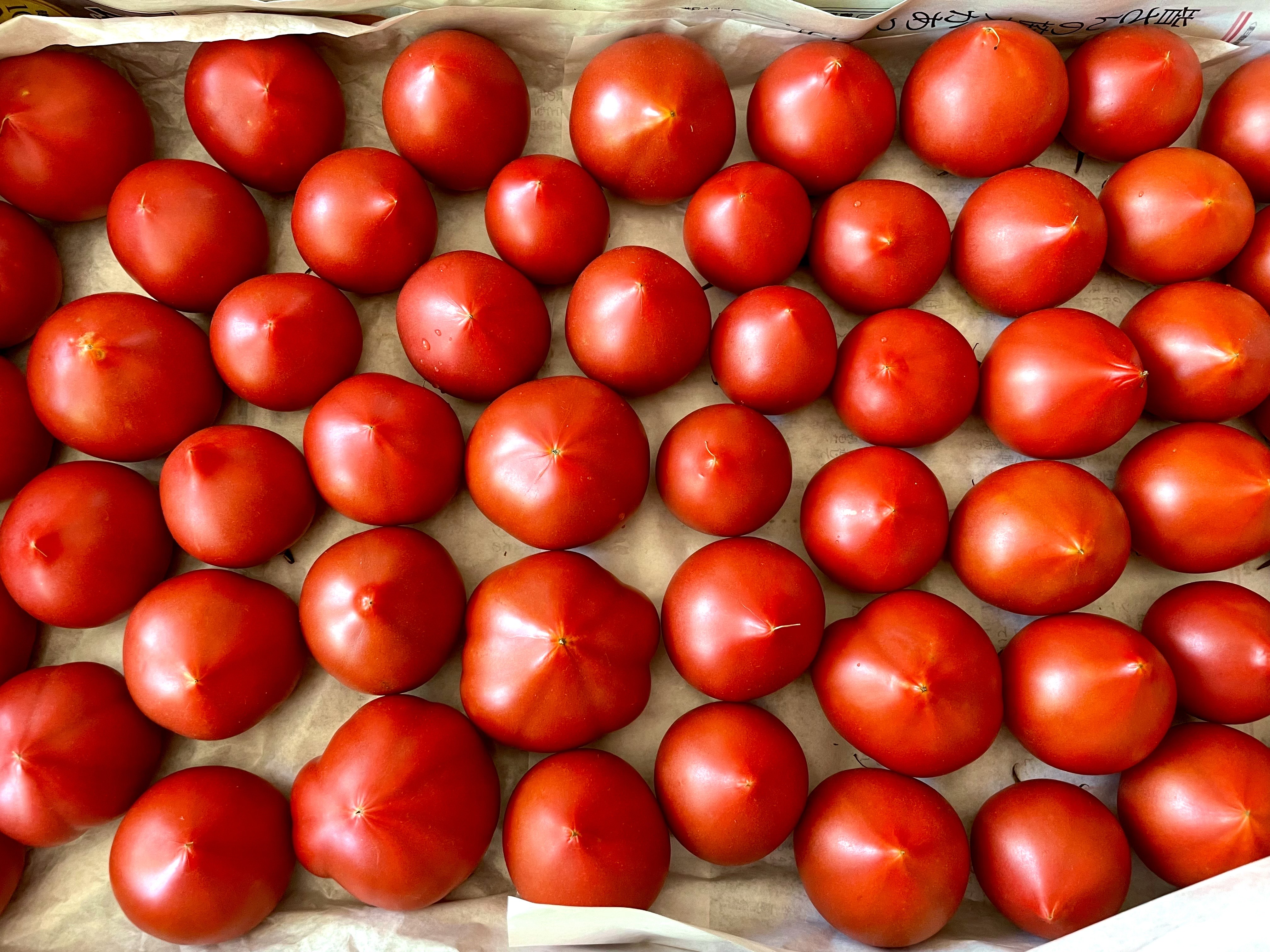 ト・マーレTomato Juice