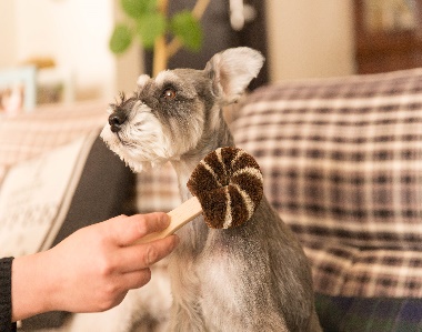 ペット用たわし　犬用