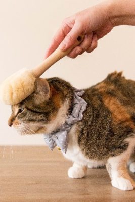 ペット用たわし　猫用